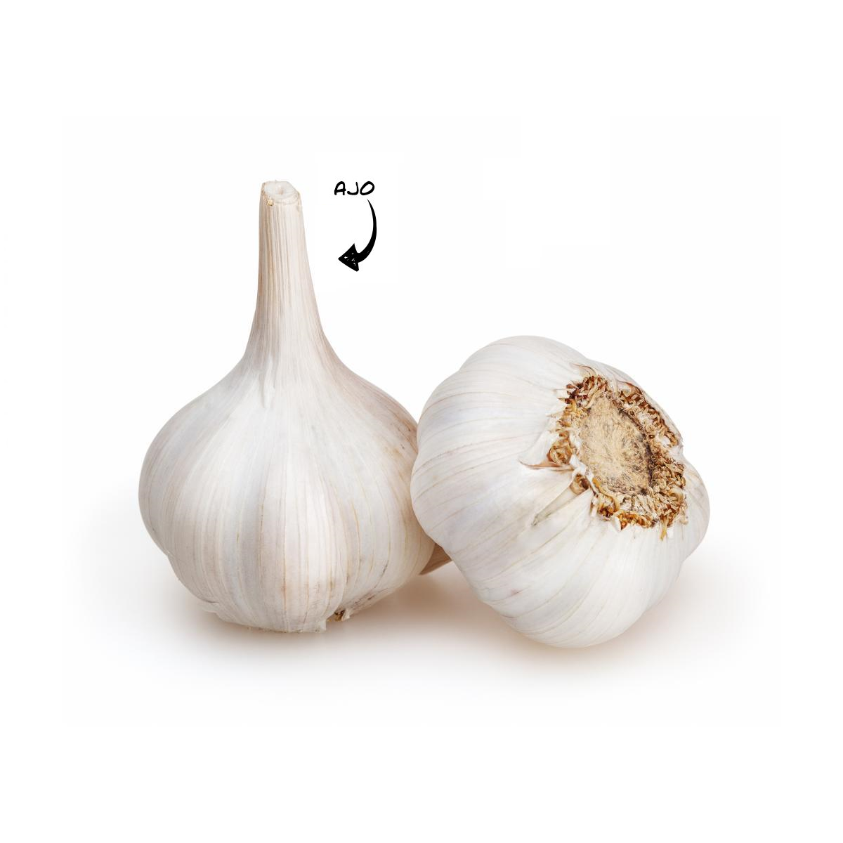 Ajo kg