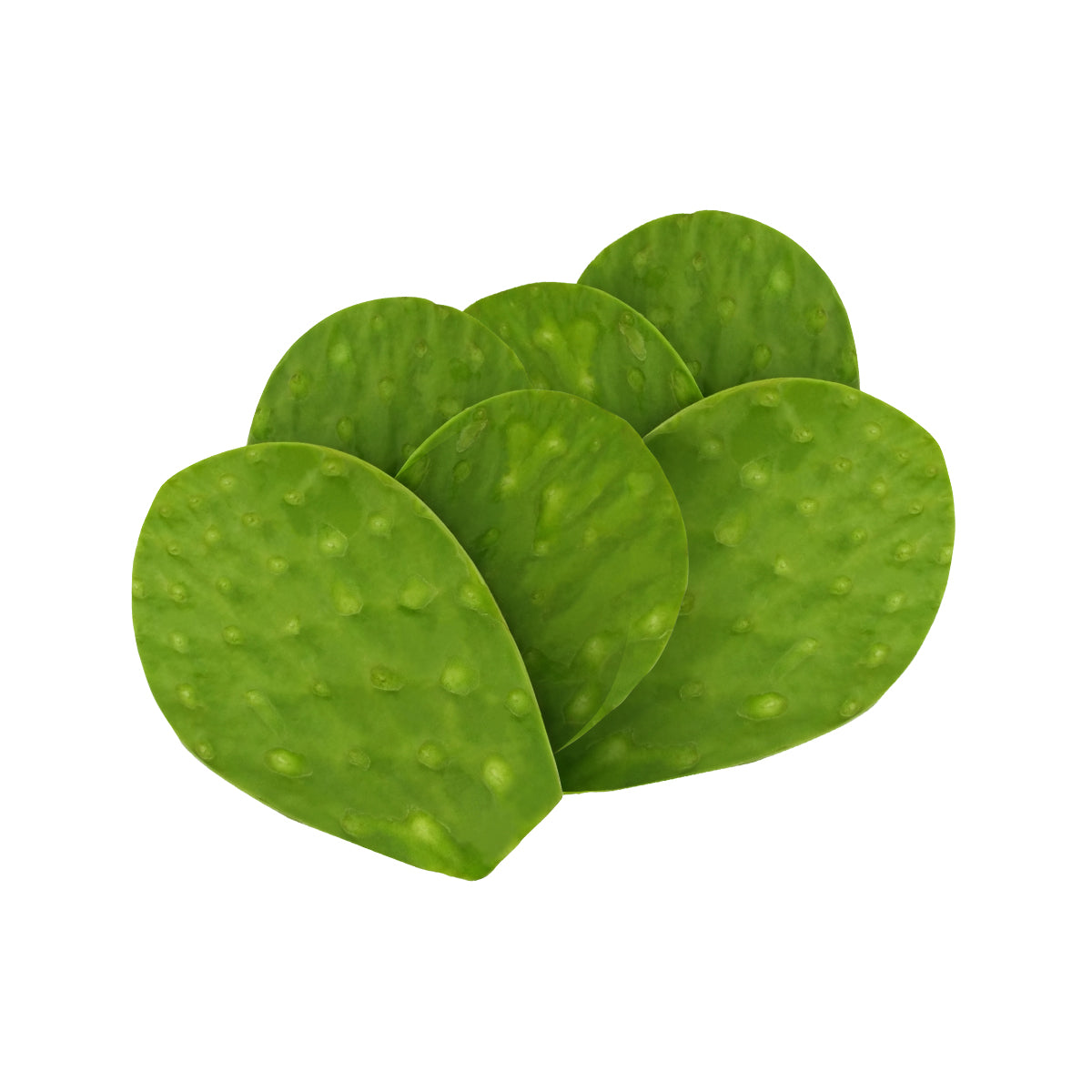 Nopal kg