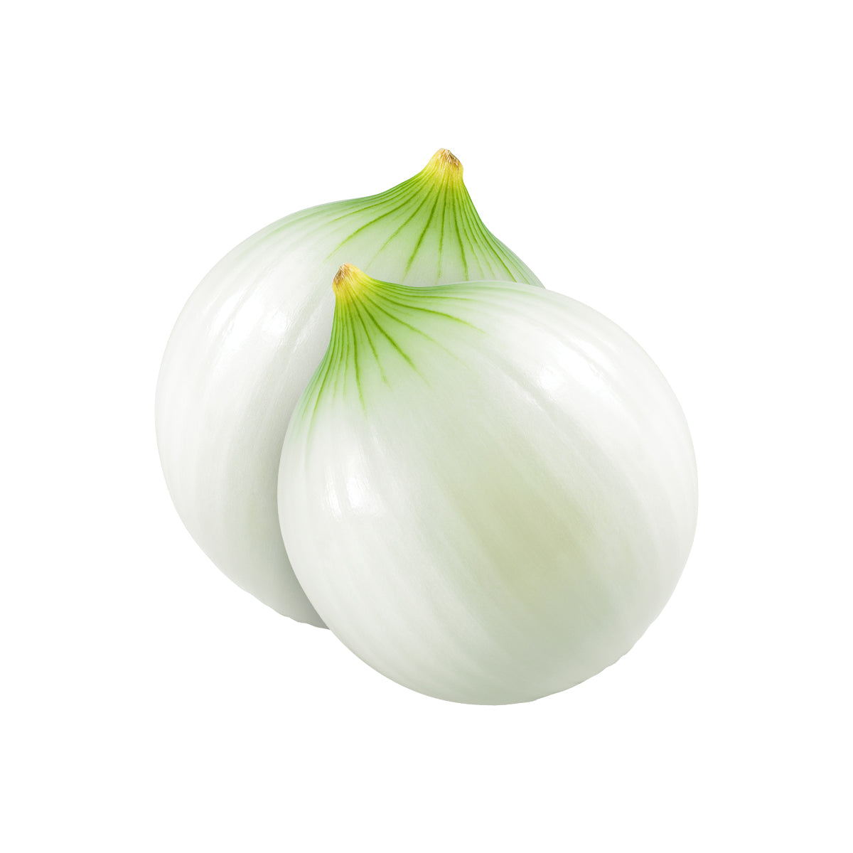 Cebolla Blanca kg